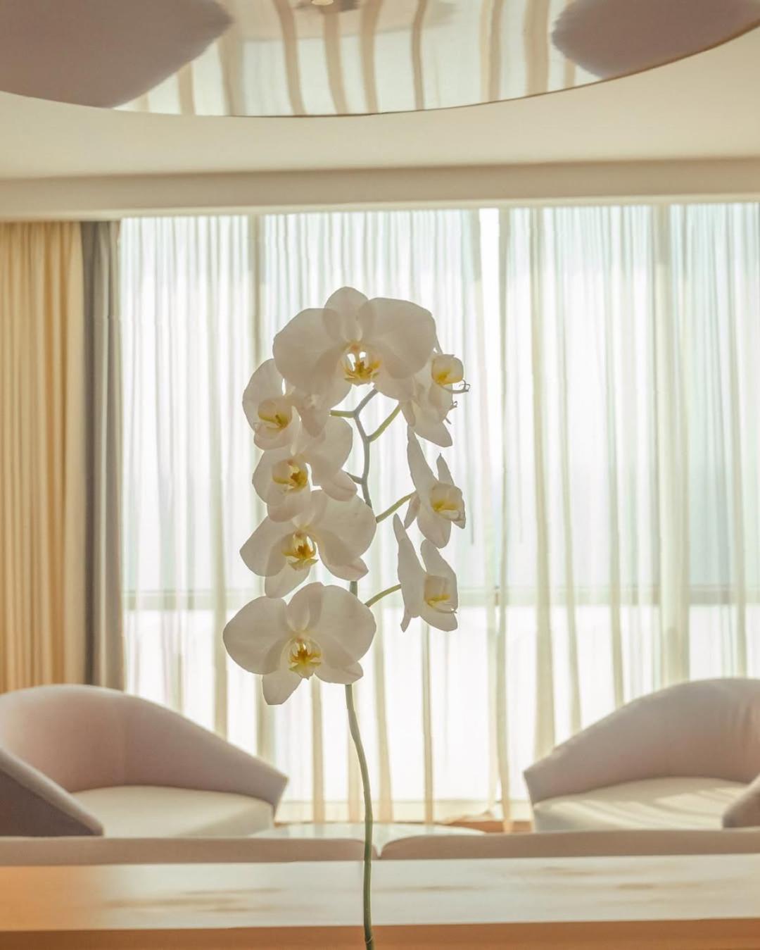 Intercontinental By Ihg Cartagena