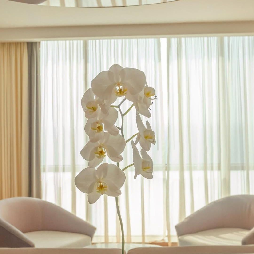 Intercontinental By Ihg Cartagena