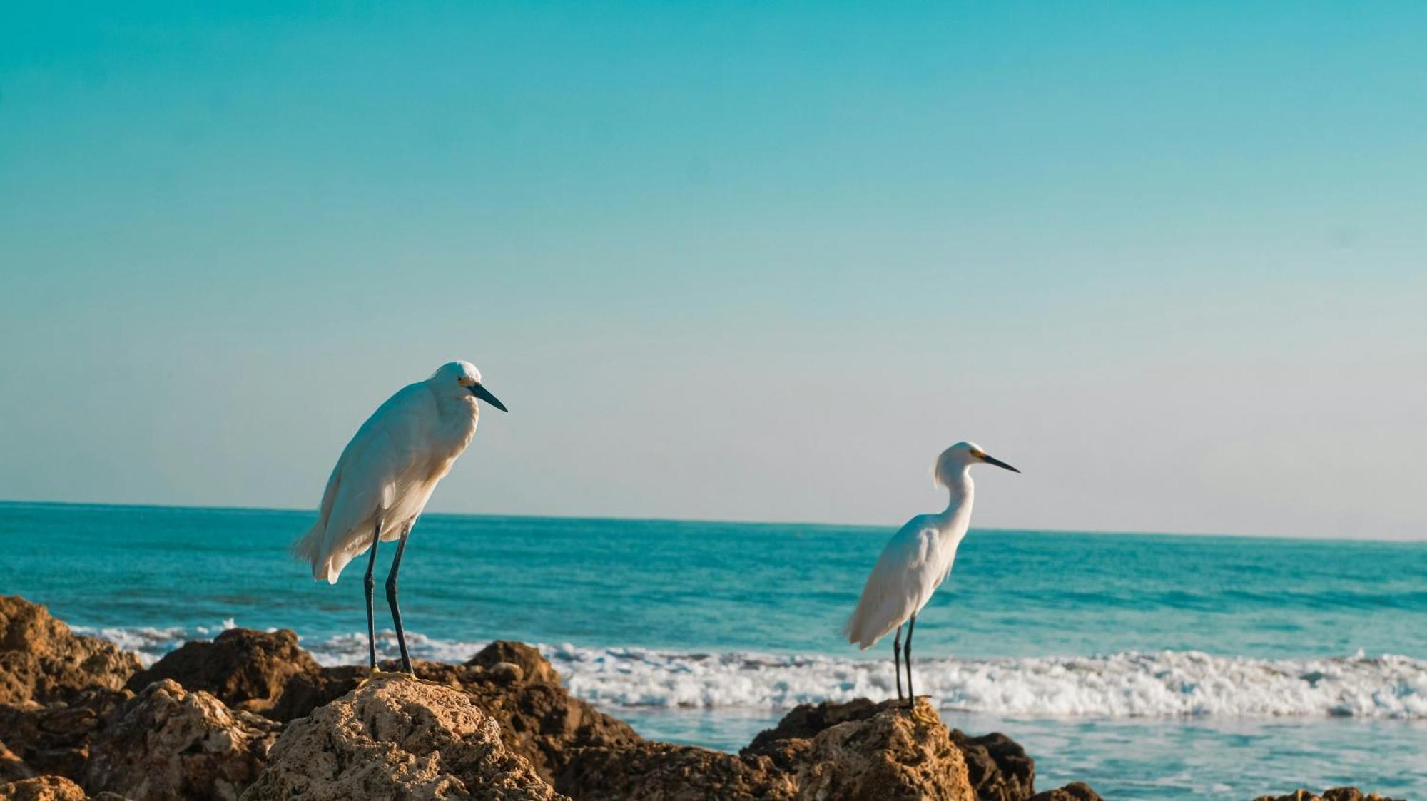 Hotel Intercontinental By Ihg